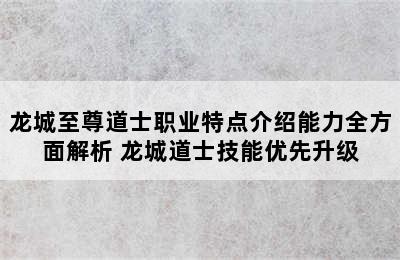 龙城至尊道士职业特点介绍能力全方面解析 龙城道士技能优先升级